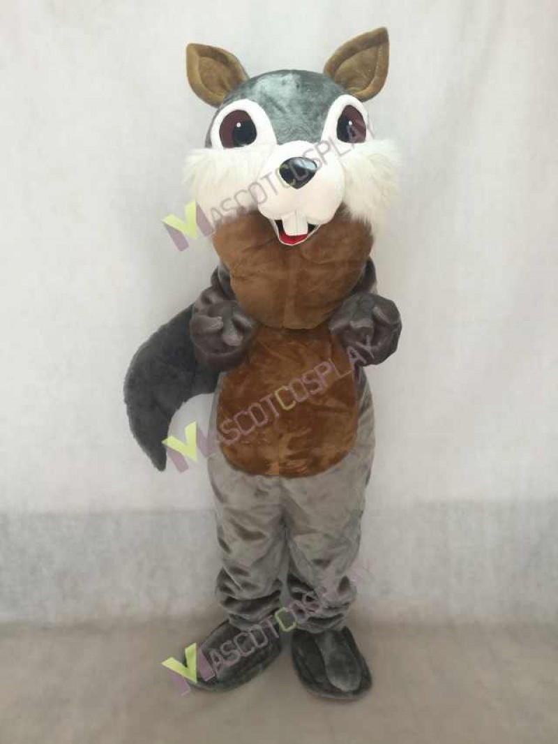 New Gray Squirrel Mascot Costume