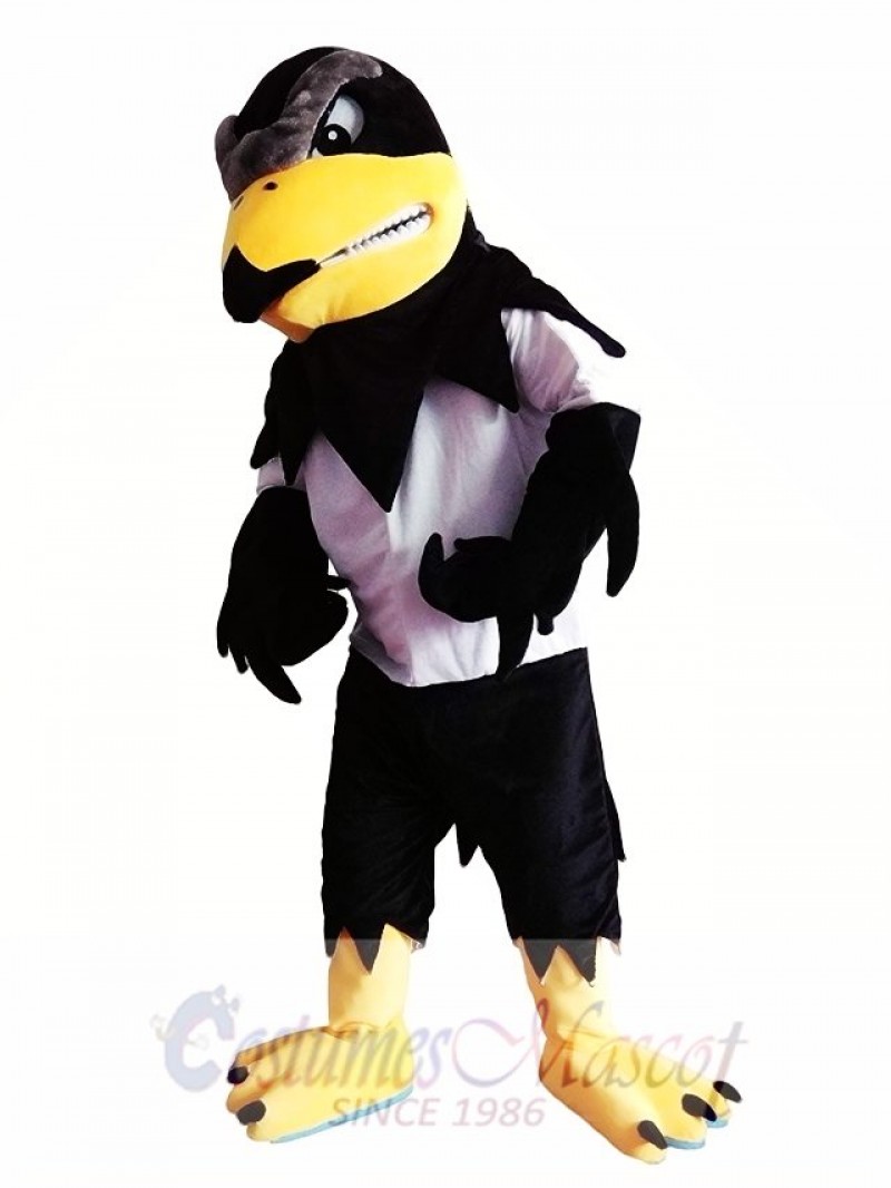 Sport Falcon Eagle Mascot Costume