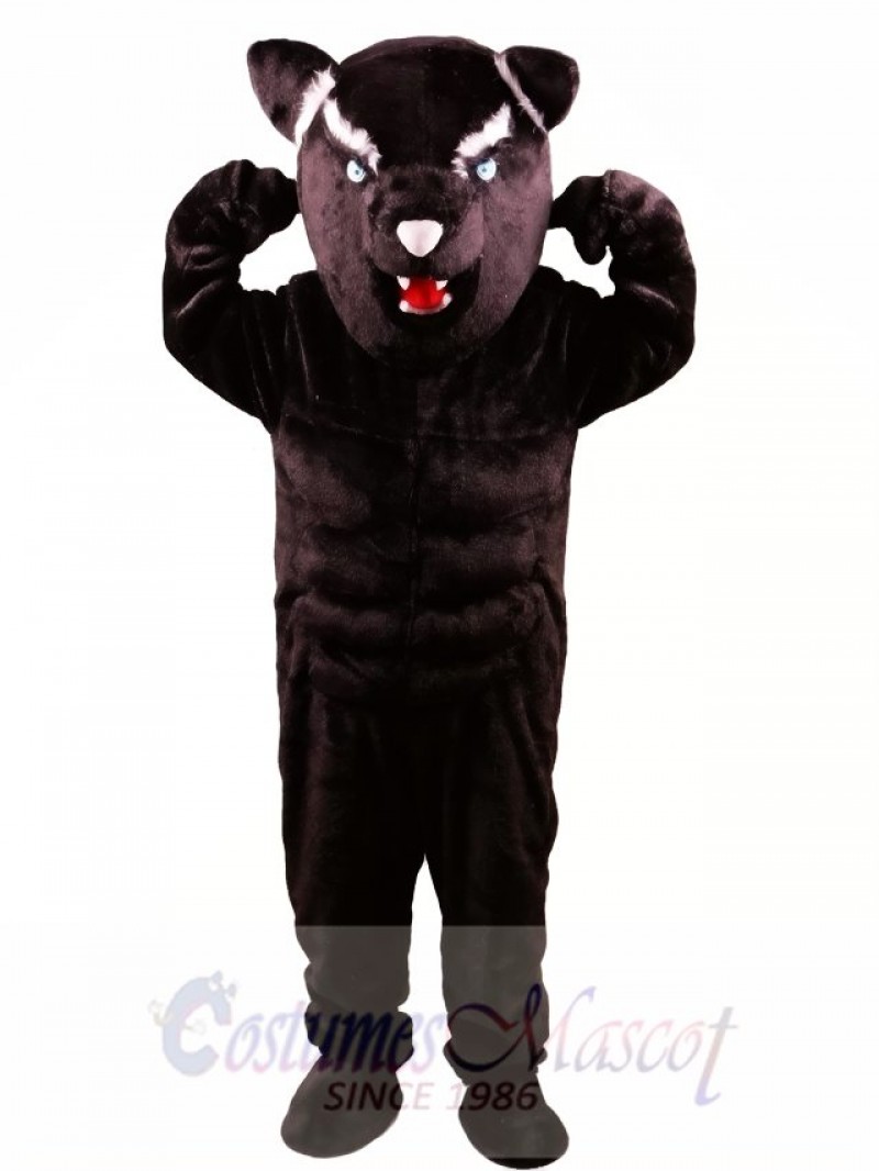 Black Panther Power Cat Mascot Costume