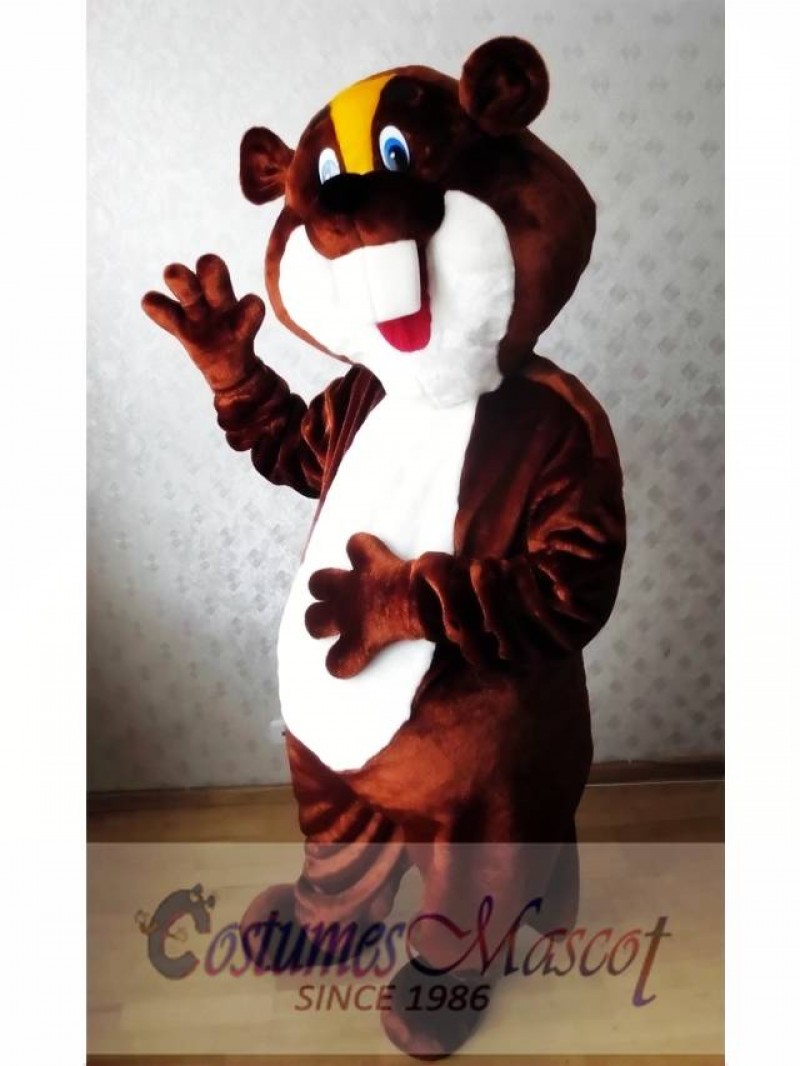 Beaver Mascot Costume  