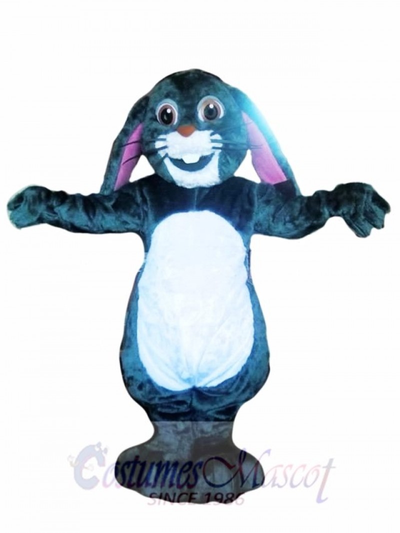 Funny Easter Bunny Mascot Costume
