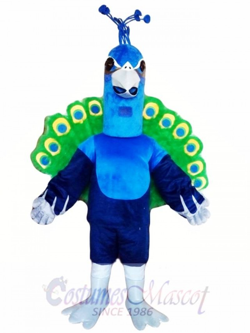 Peacock Mascot Costume
