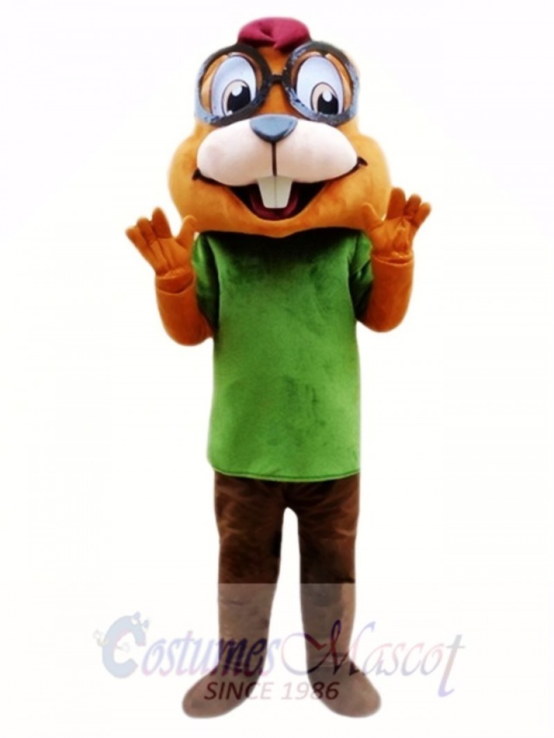 Chipmunk Mascot Costume Custom Fancy Costume