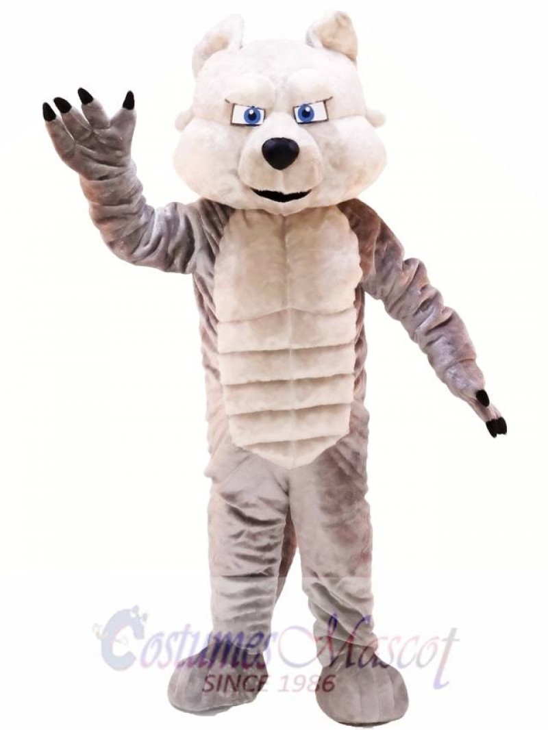 Grey Power Wolf Mascot Costume