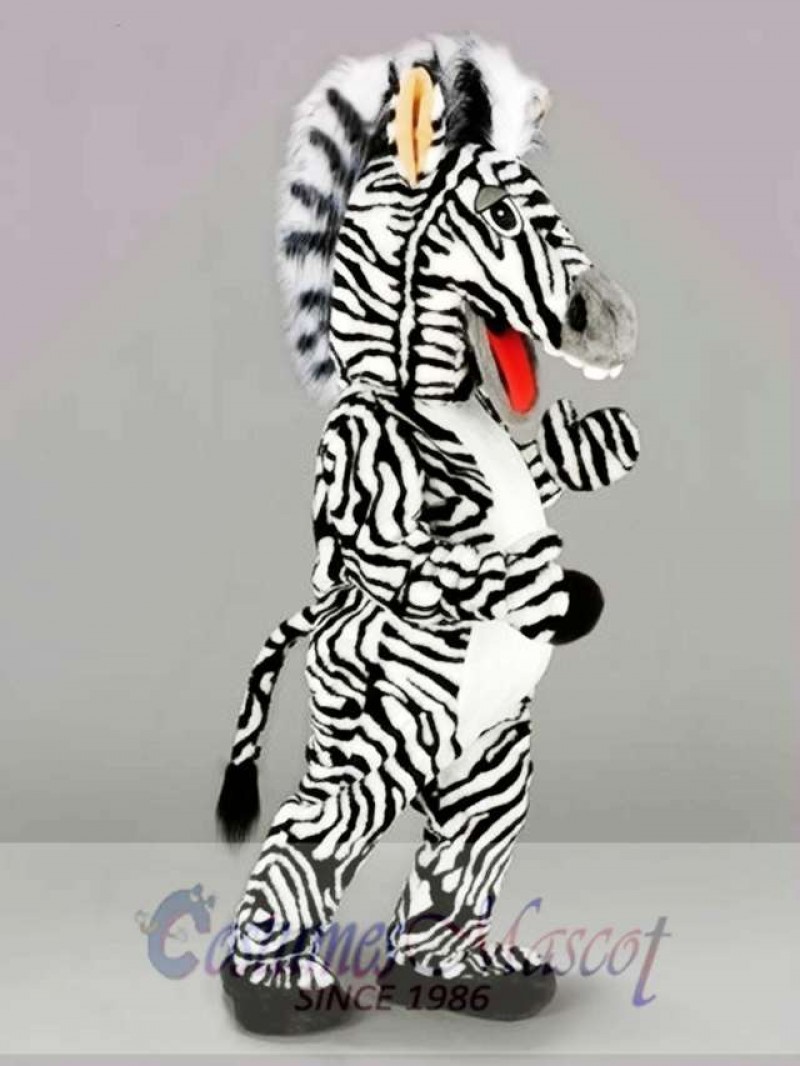 Zebra Mascot Costume  