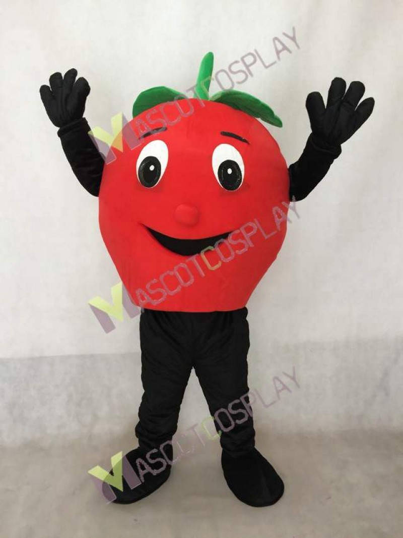 Big Red Apple Mascot Costume