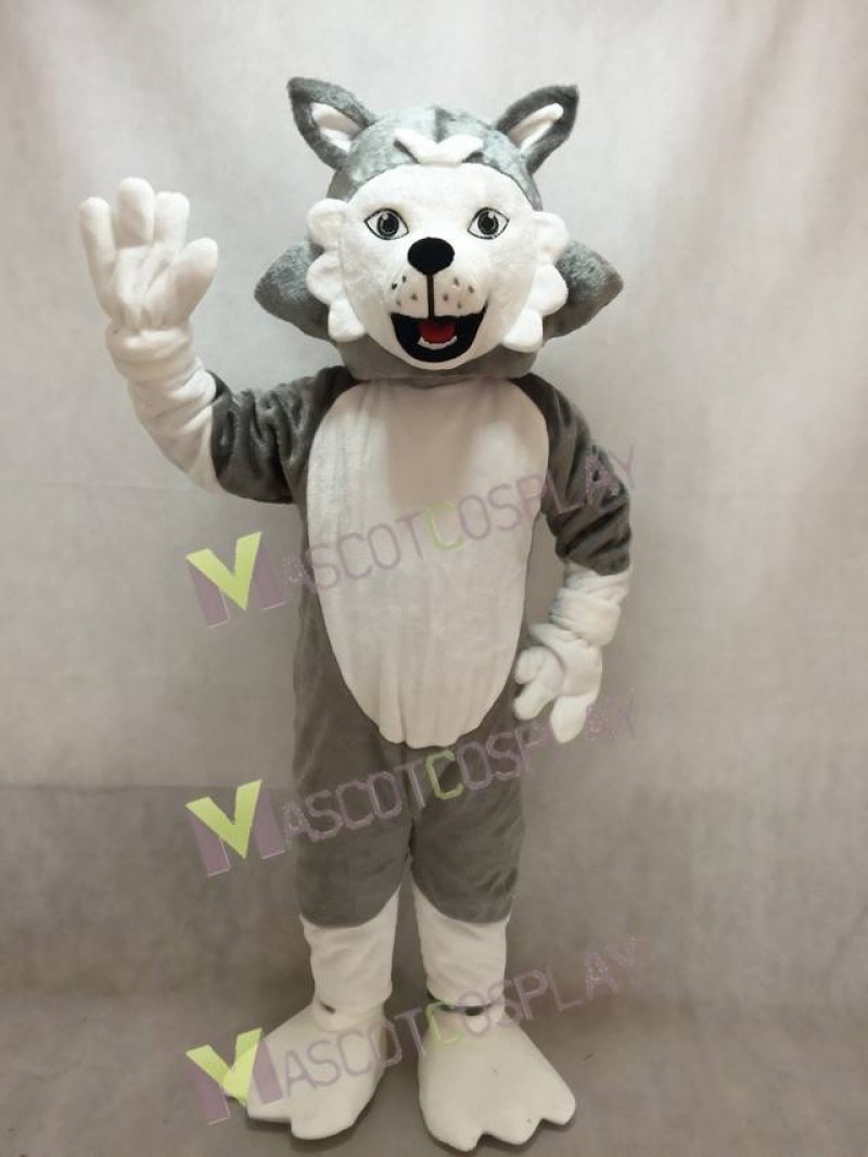 Cute Wolf Dog Mascot Costume