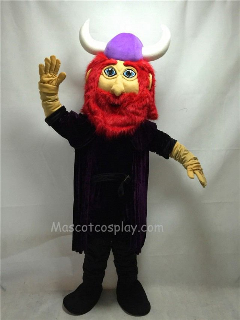 Cute Friendly Viking Mascot Costume