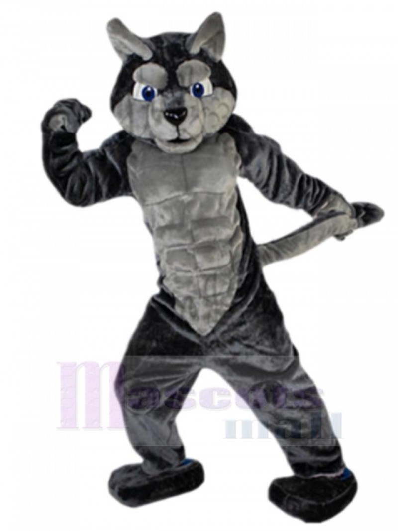 Wolf mascot costume