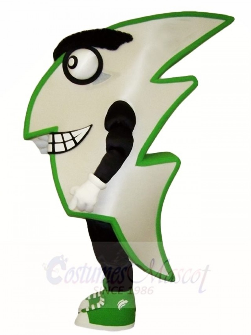 Flash Mascot Costumes 