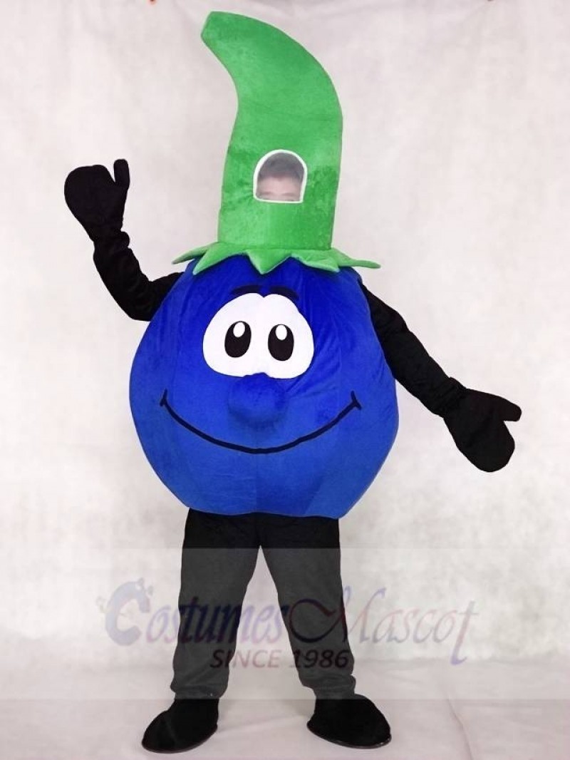 High Quality Bobby Blueberry Blue Berry Mascot Costume