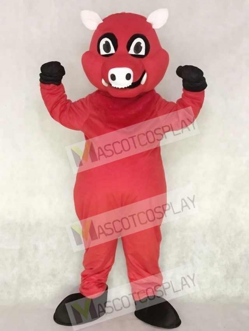 Cute Red Razorback Feral Pig Hog Wild Boar Mascot Costume
