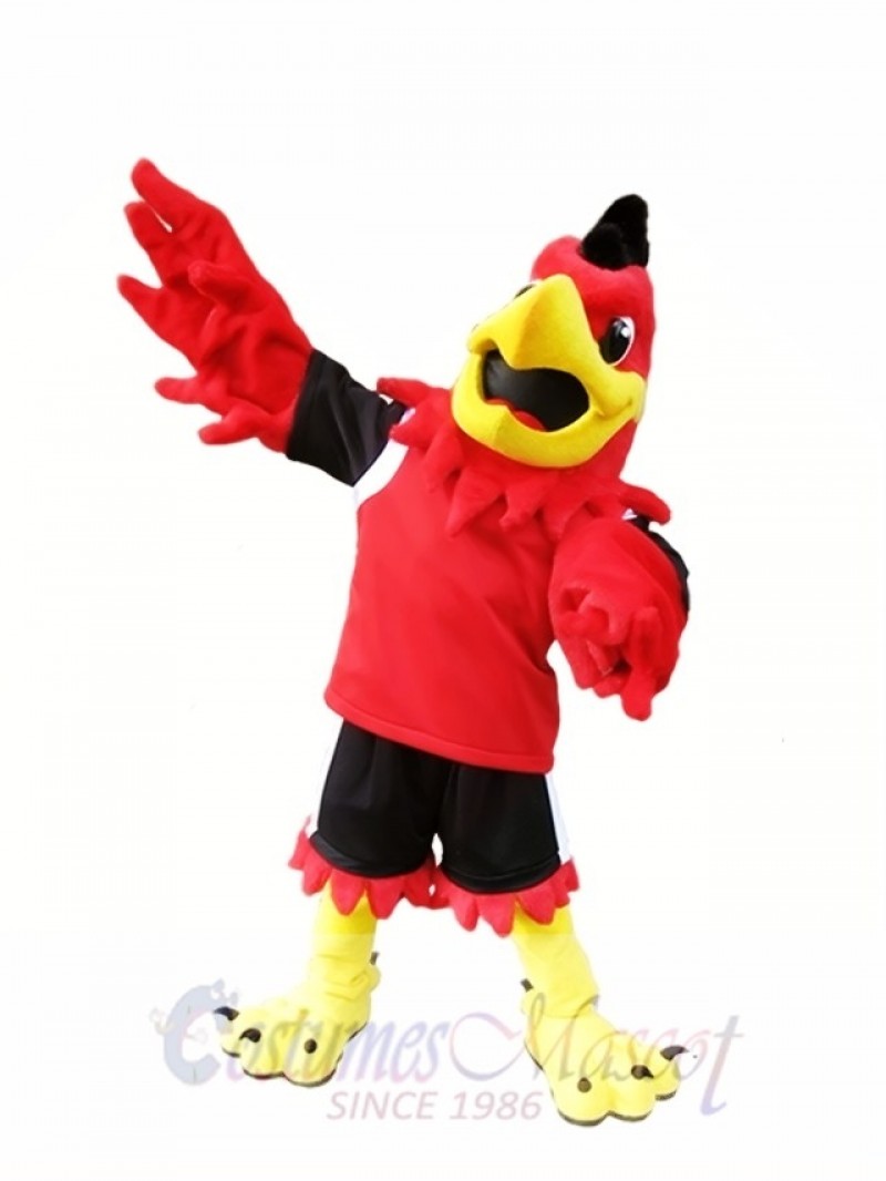 Red Hawk Mascot Costume Mo the Falcon Mascot Costumes