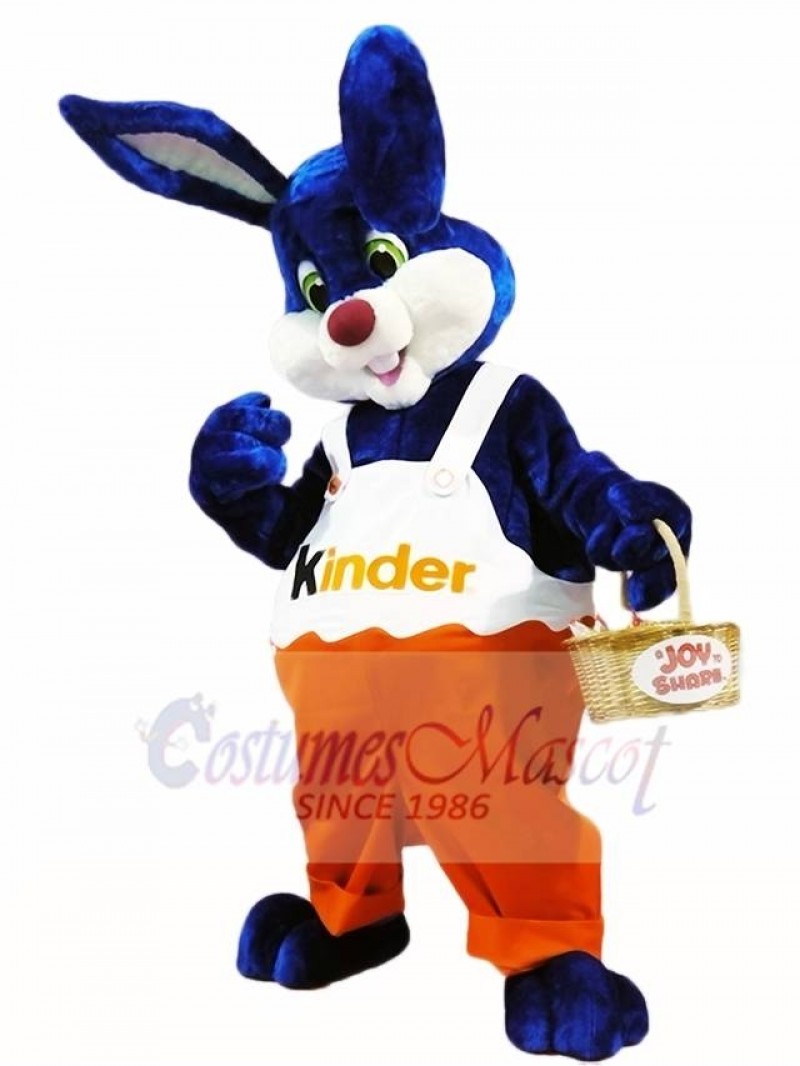 Rabbit Bunny Kinder Mascot Costumes Animal