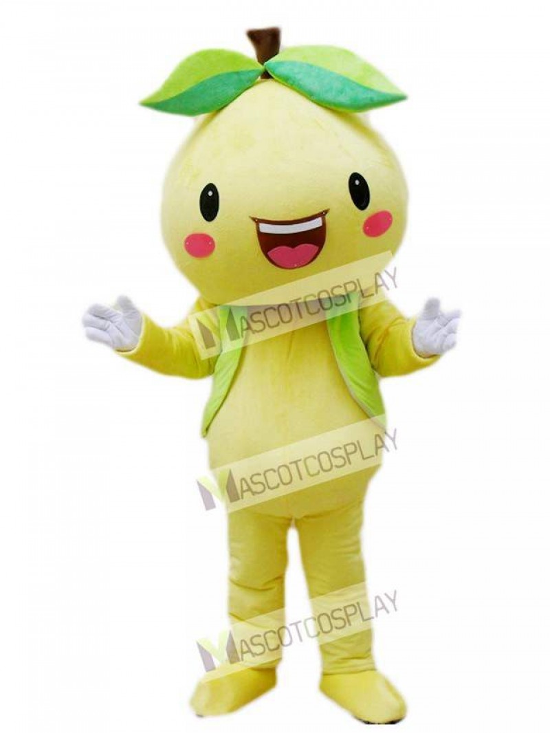 Yellow Pomelo Shaddock Grapefruit Mascot Costume