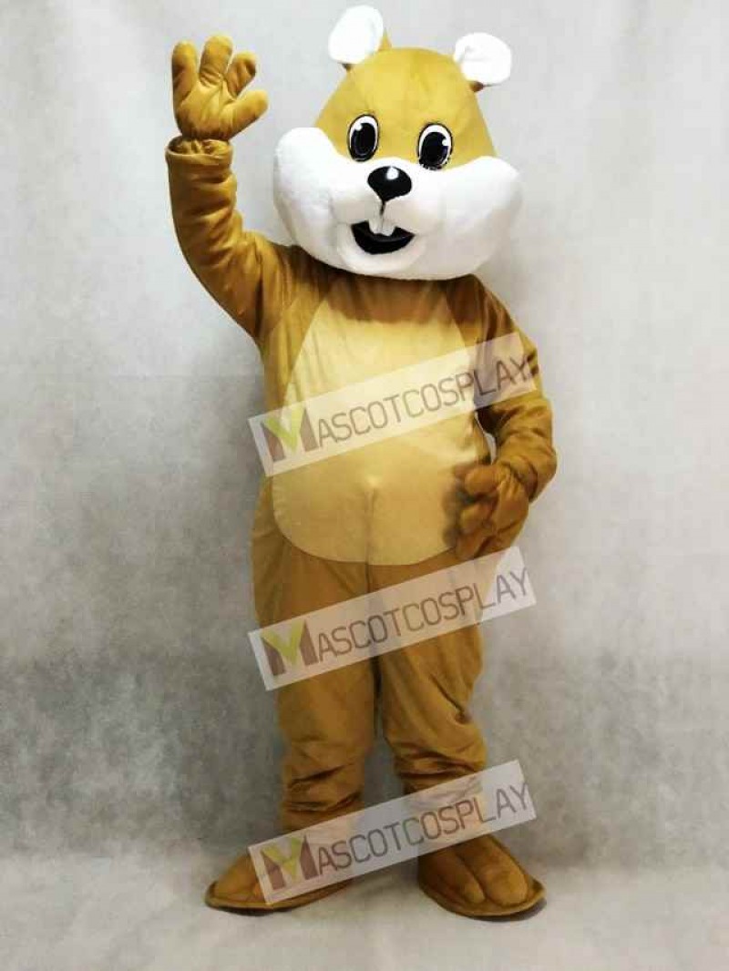 Chubby Squirrel Mascot Costume with White Belly