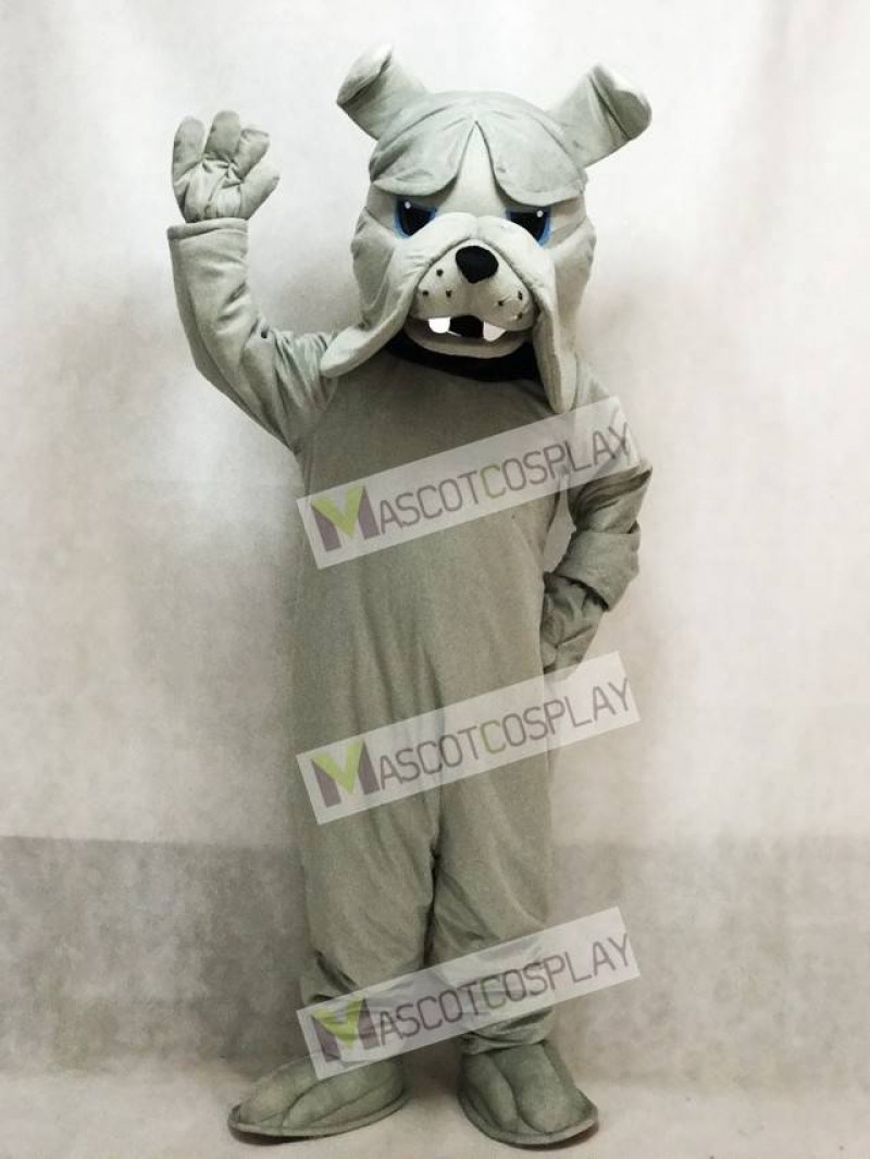 Gray Bully Bulldog Dog Mascot Costume Animal