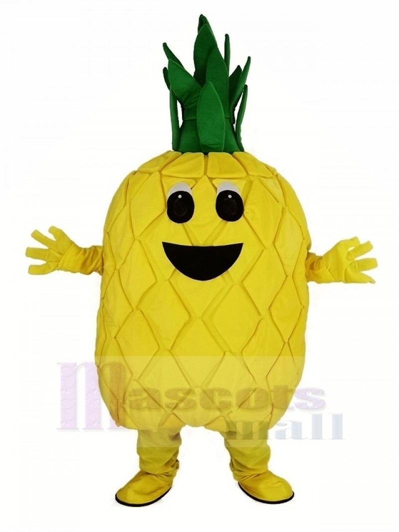 Pineapple Fruit Mascot Costume Cartoon