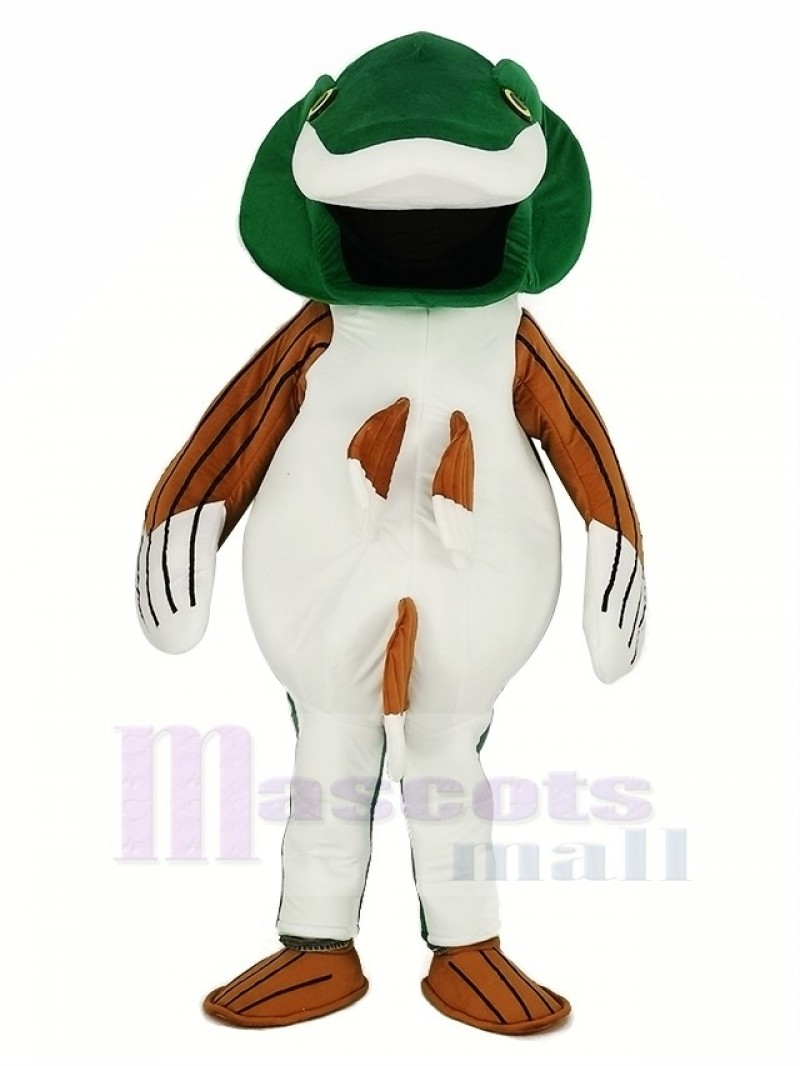 Green Bass Fish Mascot Costume Cartoon