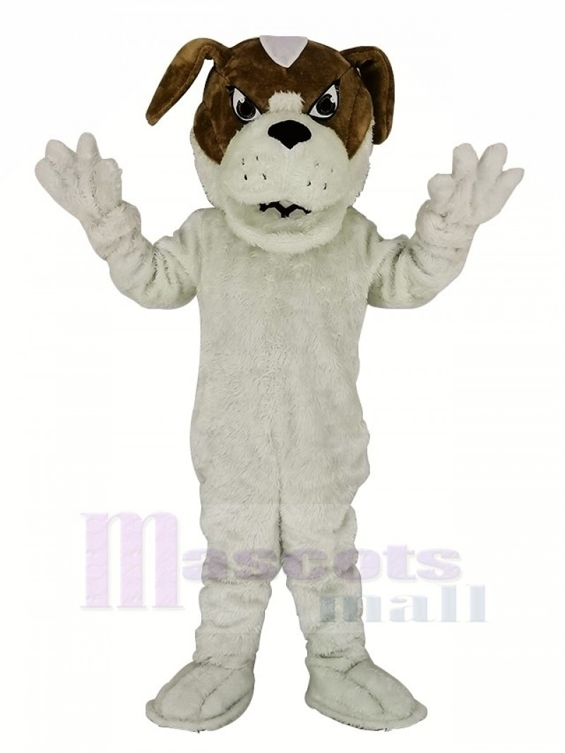 Saint Bernard Dog Mascot Costume Animal