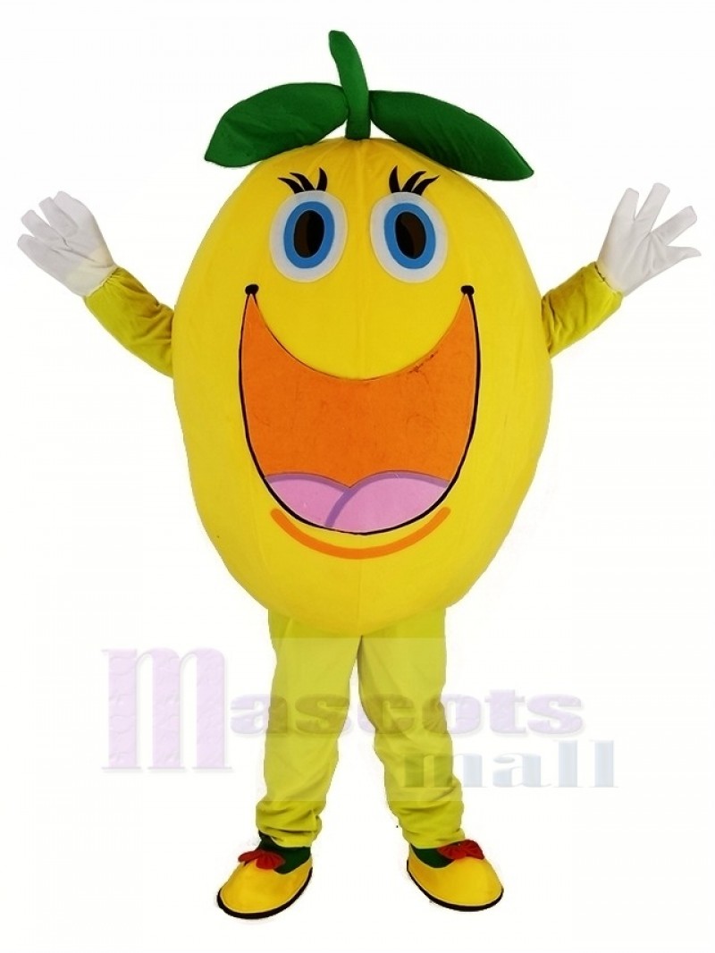 Cute Round Orange Mascot Costume