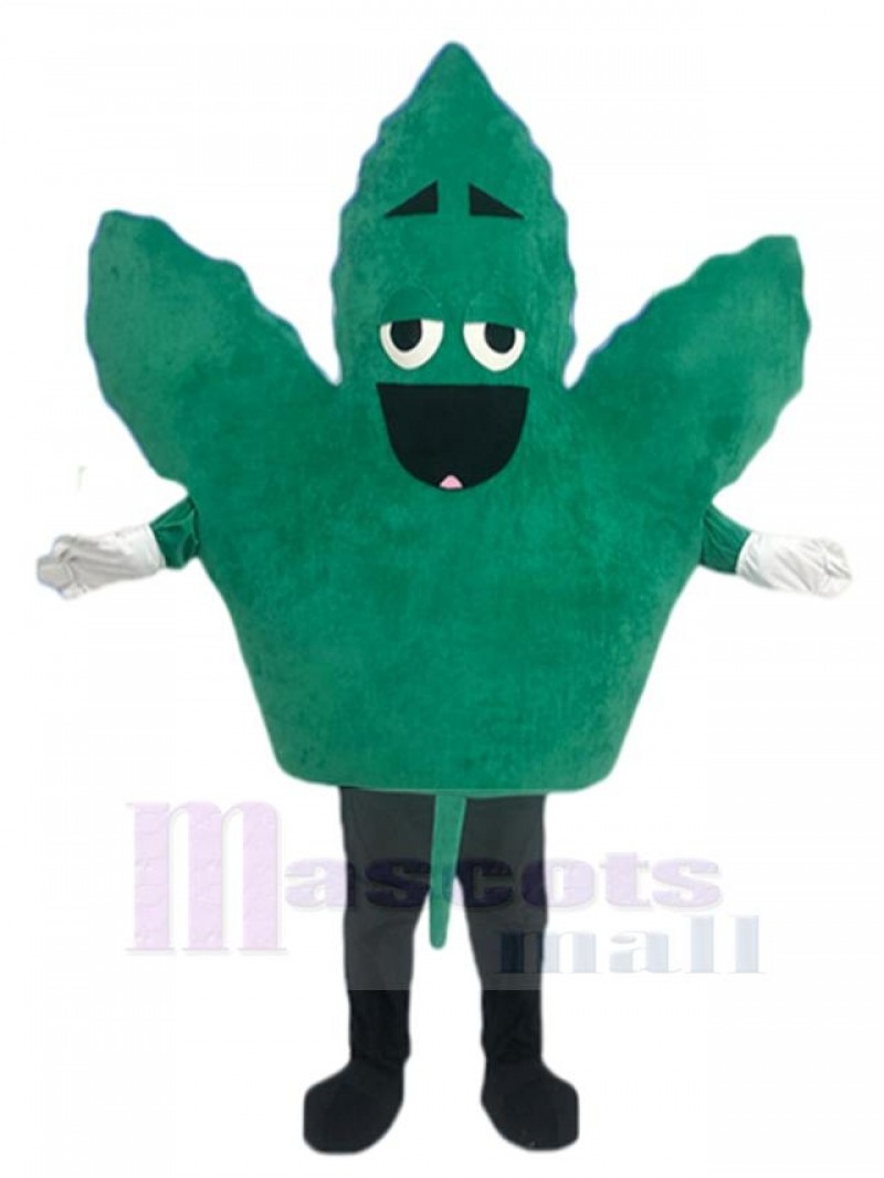 Leaf mascot costume