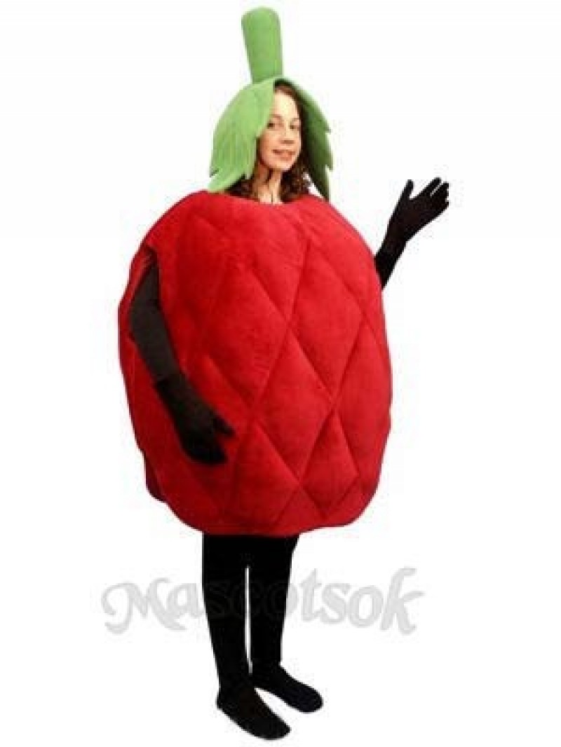 Raspberry Mascot Costume