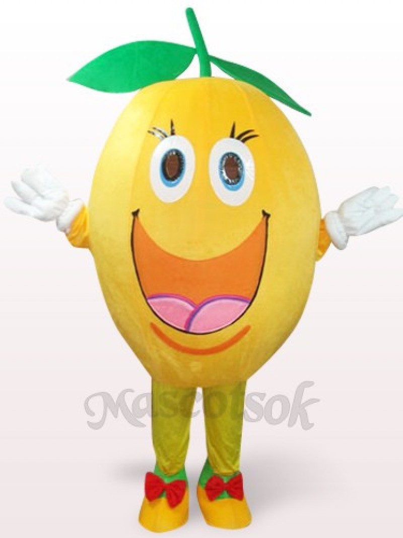 Cute Orange Plush Mascot Costume
