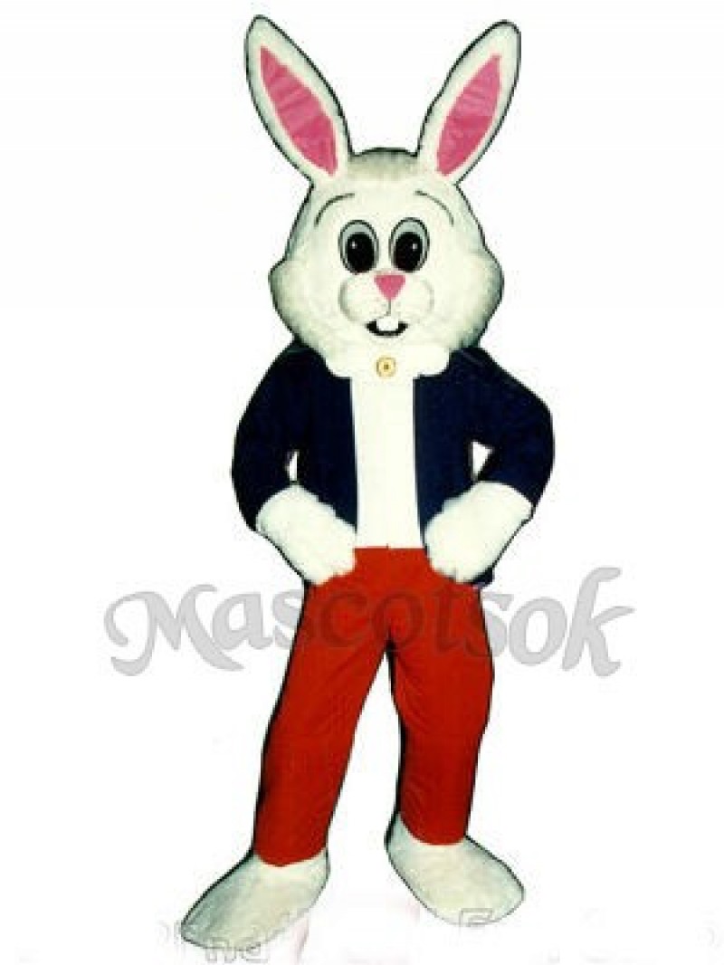 Easter Hare Bunny Rabbit Mascot Costume