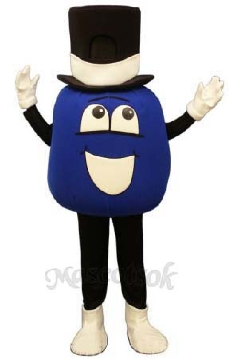 Madcap Blueberry Mascot Costume