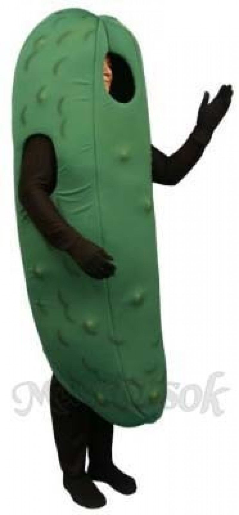 Sweet Pickle Mascot Costume