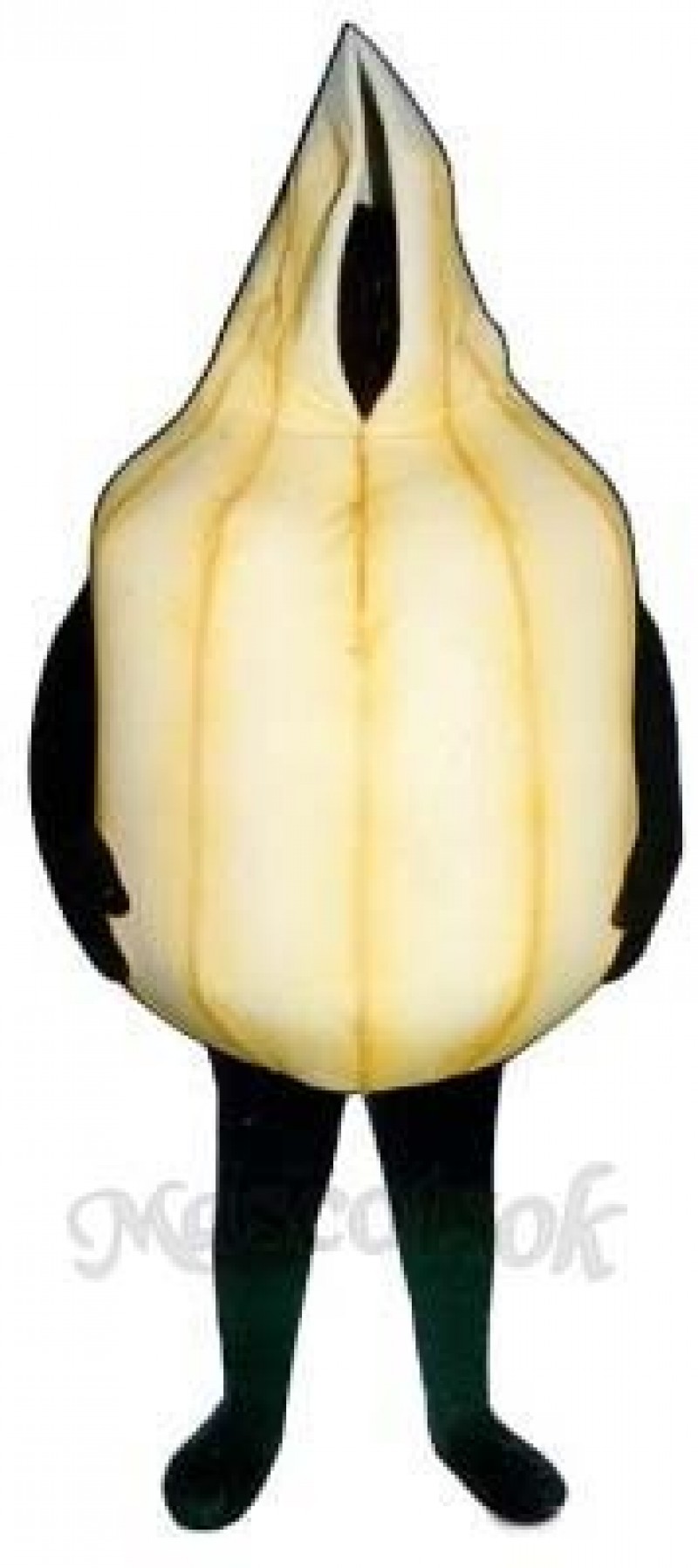 Onion Mascot Costume