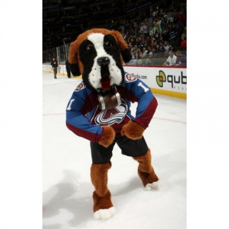 Colorado Avalanche Bernie the St. Bernard All Star Game Bernie Dog Mascot Costume for the Miami Heat
