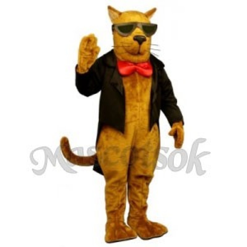 Cute Strayed Cat Mascot Costume
