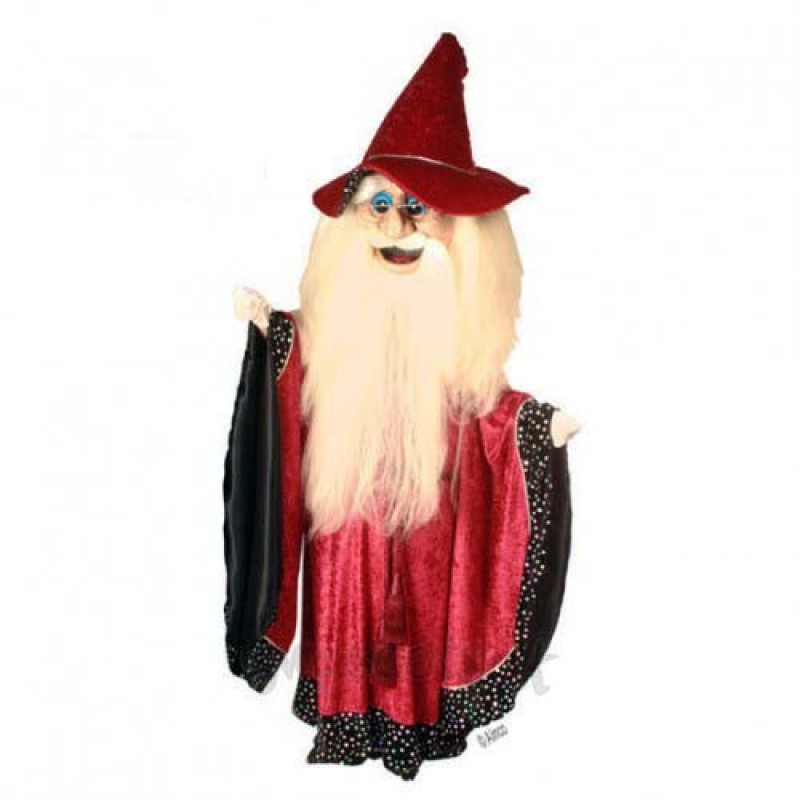Merlin Wizard Mascot Costume