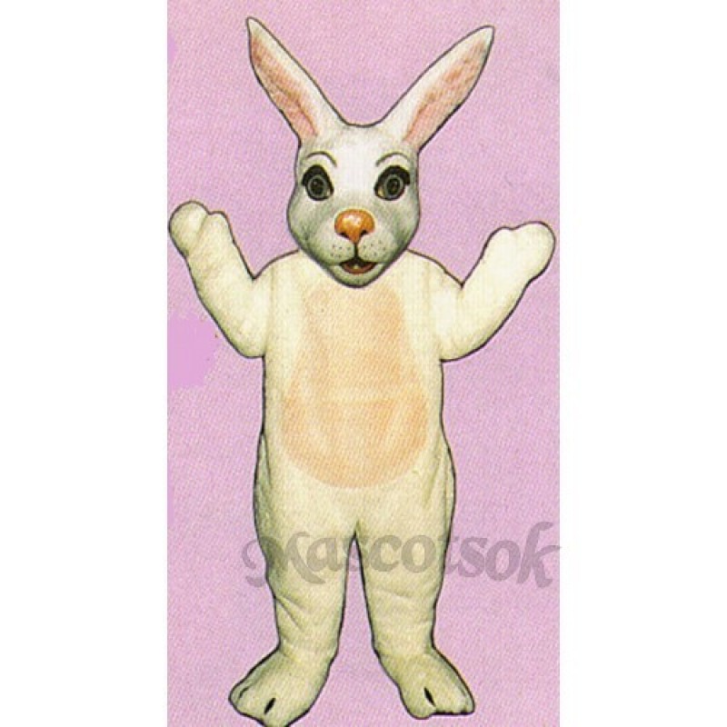 Easter Mr. Bunny Mascot Costume