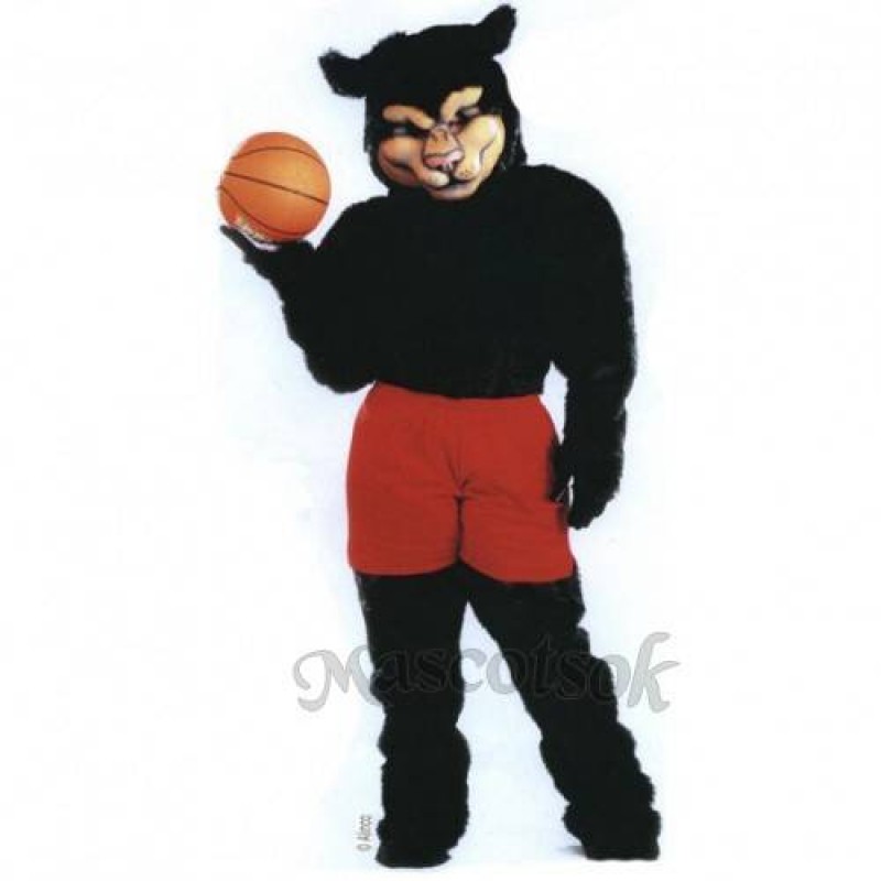 Cute Pro Panther Mascot Costume