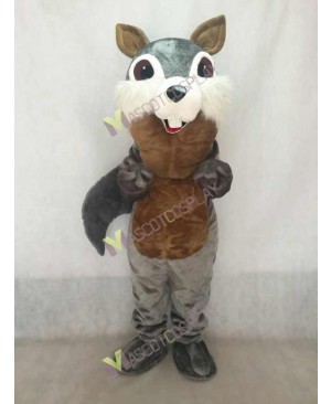 New Gray Squirrel Mascot Costume