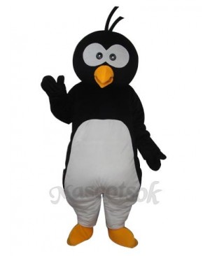 Round Head Penguin  Mascot  Adult  Costume