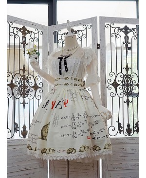 Schrodinger's Cat Series Lace Edge High Waist Classic Lolita Skirt