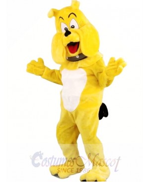 Cartoon Bulldog Mascot Costume