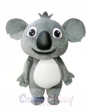 Small Koala Mascot Costume