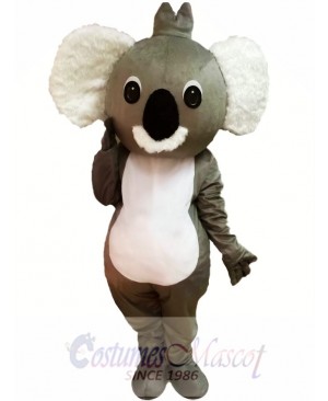 Cartoon Koala Mascot Costume