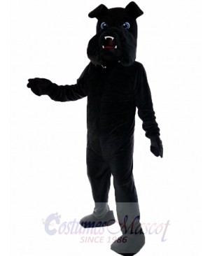 Black Bulldog Bull Dog Mascot Costume