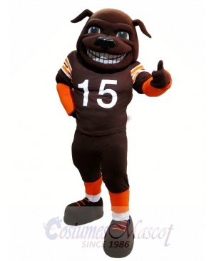 Sun Football Bull Dog Mastiff Mascot Costume
