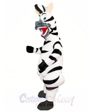 Zebra Mascot Costume Adult Costume