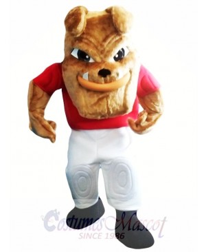 Bulldog Mascot Costume Adult Costume