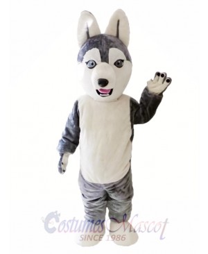 Animal Dog Siberian Husky Mascot Costume for Adult