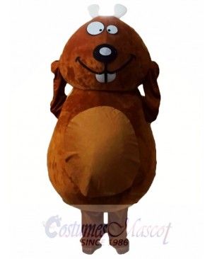 Brown Beaver Mascot Costumes 