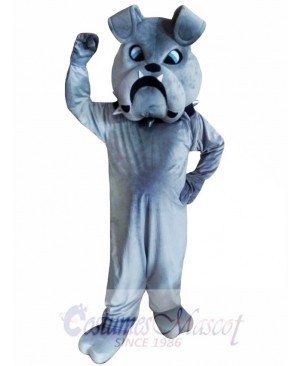 Grey Bulldog Mascot Costumes  